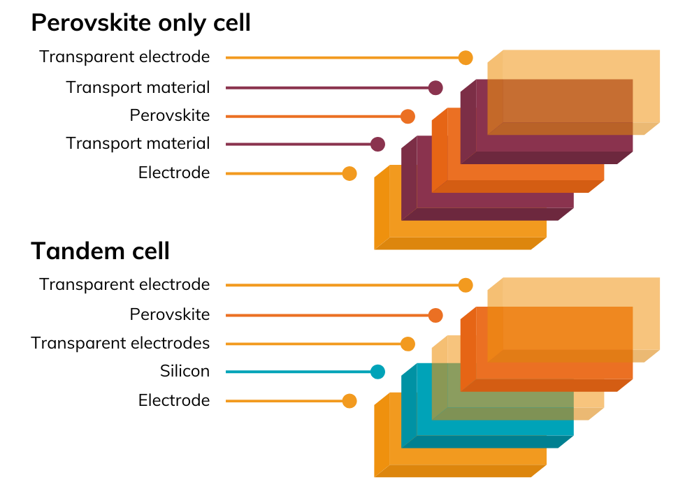 Perovskite cells