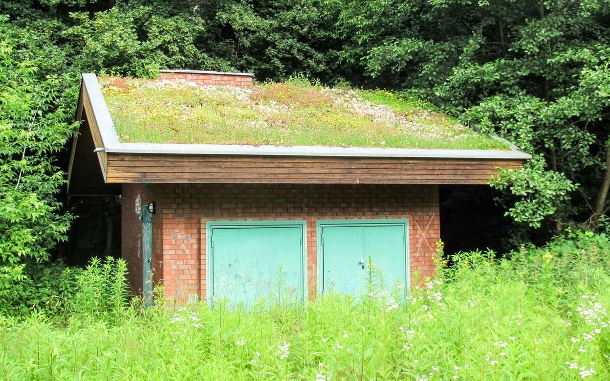 house with green roof